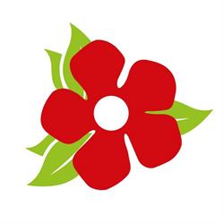 Gionnet Fleurs, Troyes - Horaires d'ouverture