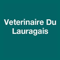 Veterinaire Du Lauragais, Castelnaudary - Horaires d'ouverture