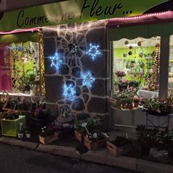 COMME UNE FLEUR, Laguiole - Horaires d'ouverture