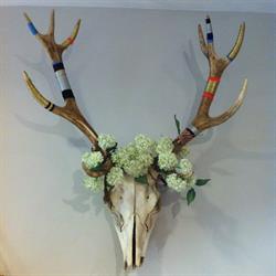 Noir Animal - Bijoux et Accessoires de créateurs, Dijon - Horaires d'ouverture