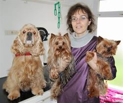 beauté canine, Quimper - Horaires d'ouverture
