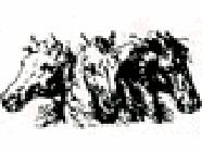Club Hippique de Bordeaux-Lac, Blanquefort - Horaires d'ouverture
