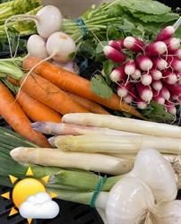 Terre Y Fruits, Sainte-Maure-de-Touraine - Horaires d'ouverture