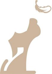 Chien D'or Design, Tours - Horaires d'ouverture