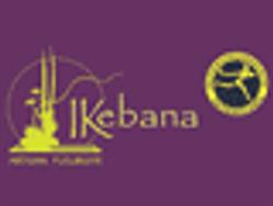 IKEBANA, Roanne - Horaires d'ouverture