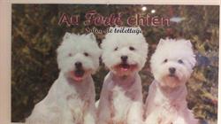 Au Ferté Chien, La Ferté-Saint-Aubin - Horaires d'ouverture