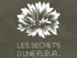 Les Secrets D'une Fleur, Pithiviers - Horaires d'ouverture