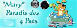 MARY "AU PARADIS DES 4 PATS", Coulommiers-la-Tour - Horaires d'ouverture