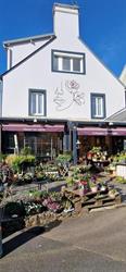 FLEURS EN SCENE, Montmartin-sur-Mer - Horaires d'ouverture