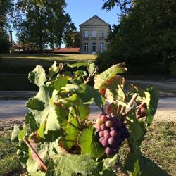 Monastère des Bénédictines, Saint-Thierry - Horaires d'ouverture