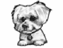 Styl Peluche, Clermont-Ferrand - Horaires d'ouverture