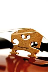 S.TAVEAU LUTHIER, Le Mans - Horaires d'ouverture