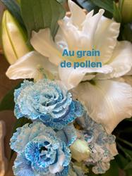 Au Grain De Pollen, Les Grandes-Ventes - Horaires d'ouverture
