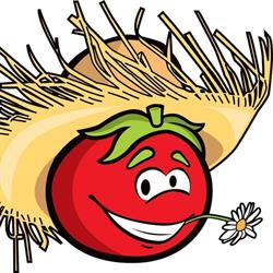 Monsieur Tomate Albi PIZZA, - Horaires d'ouverture