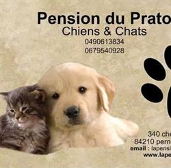 La Pension du Prato, Pernes-les-Fontaines - Horaires d'ouverture