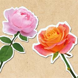Mairie de Veules les Roses, Veules-les-Roses - Horaires d'ouverture