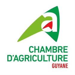 Chambre d'agriculture - Guyane, Macouria - Horaires d'ouverture