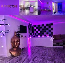 Le cocon, Toulon - Horaires d'ouverture