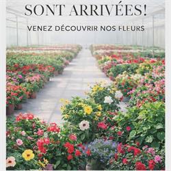 DALL'AVA et FILS, Condom - Horaires d'ouverture
