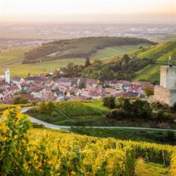 Vins et gîtes Stoecklé, Katzenthal - Horaires d'ouverture