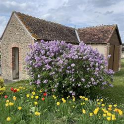 Commune Saint Ouen Sur Loire, Saint-Ouen-sur-Loire - Horaires d'ouverture