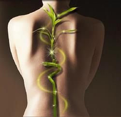 COACH POSTURAL PUENTE de BLAS, Corbeil-Essonnes - Horaires d'ouverture