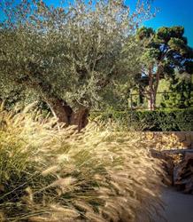 Exterior Design, Nice - Horaires d'ouverture