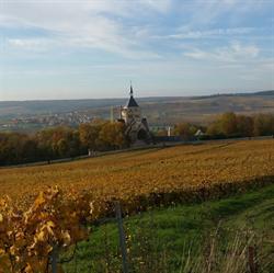 CHAMPAGNE Didier DENIZE, Igny-Comblizy - Horaires d'ouverture