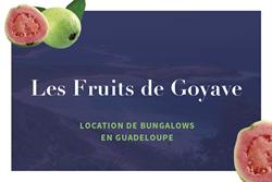 Les Fruits de Goyave, - Horaires d'ouverture