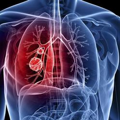 CHU de Dijon- service de chirurgie thoracique, - Horaires d'ouverture
