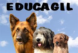 EDUCAGIL, éducateur canin, comportementaliste canin, agility dog, Èlevage canin, Brains-sur-les-Marches - Horaires d'ouverture