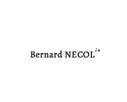 NECOL BERNARD, Saint-Geours-de-Maremne - Horaires d'ouverture