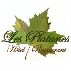 Hôtel Restaurant Les Platanes, Aire-sur-l'Adour - Horaires d'ouverture