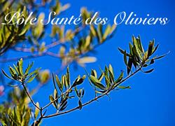 Pôle santé des oliviers, Nicolas REYMOND, Claire DAMATTE-FAUCHERY, Elisa BOUTELLIER, Cécile RAUER, Saint-Maurice-l'Exil - Horaires d'ouverture