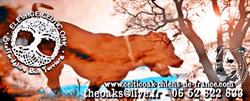 Celtic Oak Farm - Pension Canine Familiale - Anciennement Elevage Staffordshire Bull Terrier, Mialos - Horaires d'ouverture