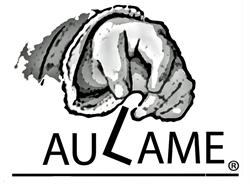 Aulame Entreprise Culturelle Indépendante, Saint-Martin-d'Arberoue - Horaires d'ouverture