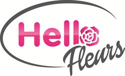 HELLO FLEURS, Cayenne - Horaires d'ouverture