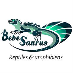 Bebesaurus, Fontaines-sur-Saône - Horaires d'ouverture