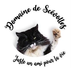DOMAINE DE SCEVOLLES, Verrue - Horaires d'ouverture