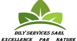 Dily-services, Morsang-sur-Orge - Horaires d'ouverture