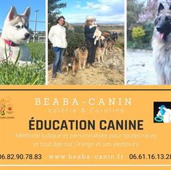 BAC Valérie, beaba-canin, Orange - Horaires d'ouverture