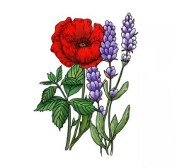L'Écho Naturo - Marie Zaletto Naturopathe, Haute-Goulaine - Horaires d'ouverture