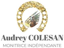 COLESAN AUDREY CECILE ROSE, Carpentras - Horaires d'ouverture