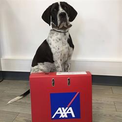 AXA Assurance et Banque Baron Et Bildstein, Pau - Horaires d'ouverture