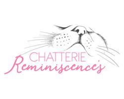 CHATTERIE REMINISCENCE'S / CHAT ROSE, Le Muy - Horaires d'ouverture