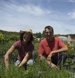 Plantes et fleurs pour jardin ecologique - Pépinières Quissac, Souvignargues - Horaires d'ouverture