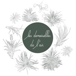 Les Demoiselles de l’Air, Nantes - Horaires d'ouverture
