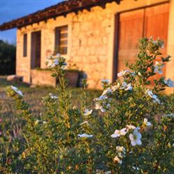 Terres De La Grange, Cuisiat - Horaires d'ouverture