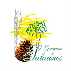 Mairie de, Salaunes - Horaires d'ouverture
