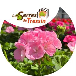 Les Serres de Tressin - Horaires d'ouverture